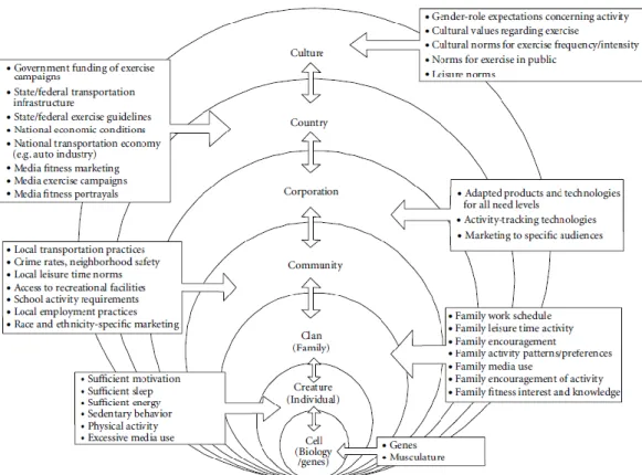 Figure 3. The 7-Cs Ecological Model of Physical Activity 
