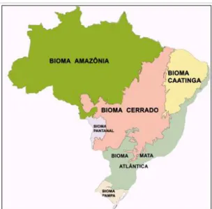 Figura 1. Mapa de biomas brasileiros demonstrando a  extensão  e  localização  do  Cerrado  no  Brasil  (IBGE  2004)
