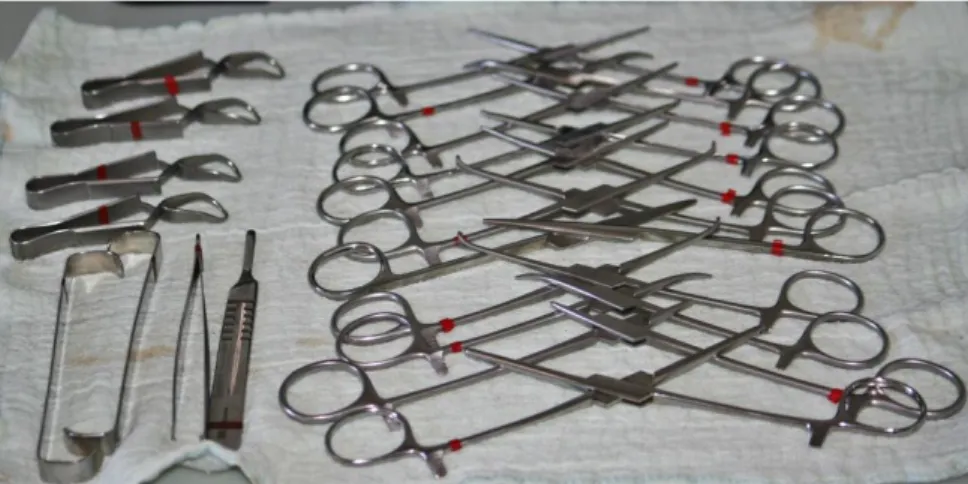 Figura 6 – Material cirúrgico convencional utilizado neste estudo (original do autor)