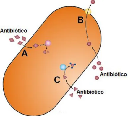 Figura  3.  Principais  mecanismos  de  resistência  em  bactérias  a  diversos  antibióticos