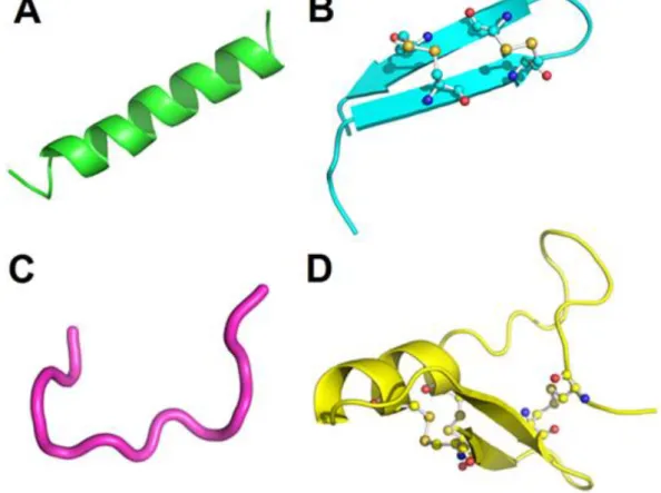 Figura  5.  Exemplos  de  grupos  de  PAMs  baseados  em  estruturas.  A)  Magainina  2,  um  peptídeo em α-hélice (pdb 2MAG)