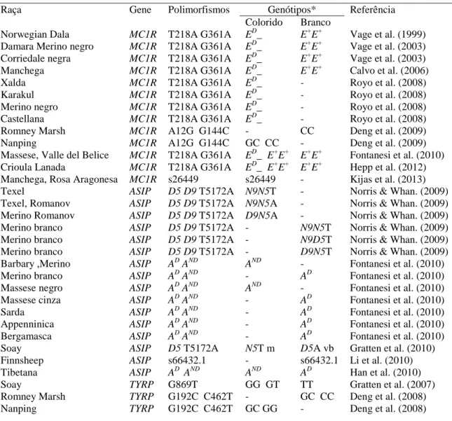 Tabela 1. Relação de polimorfismos identificados nos genes  MC1R, ASIP e  TYRP em diversas  raças ovinas