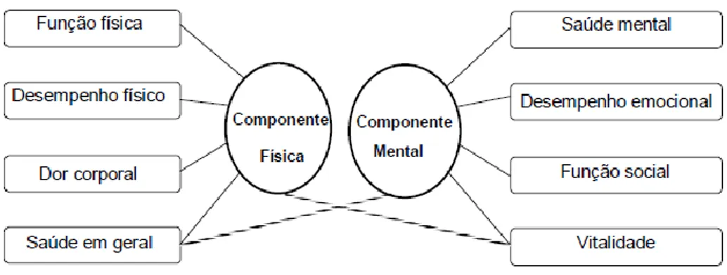 Figura 1 – Modelo fatorial SF-36 com duas componentes (Ferreira, 1998) 