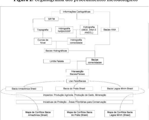 Figura 2: Organograma dos procedimentos metodológicos 