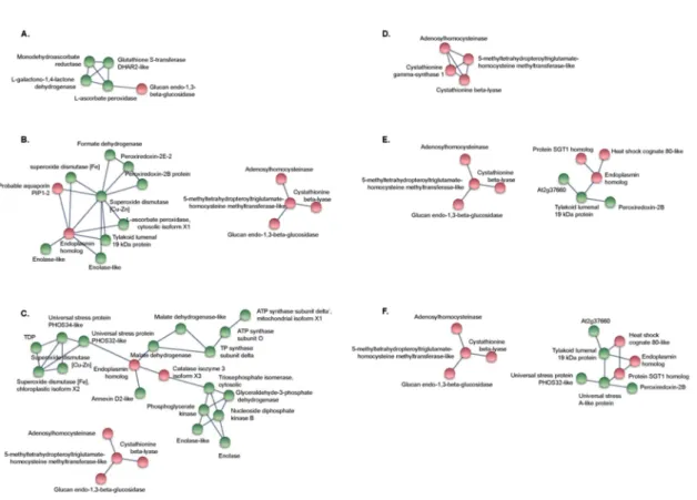 Figure 5. Protein-protein interaction networks of differentially expressed proteins (DEPs) in KNO 3 +