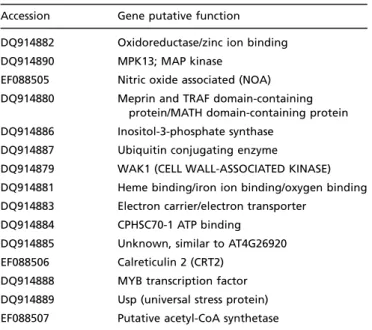 Table 1. Accessions of the Vitis vinifera Sequences Submitted to GenBank.
