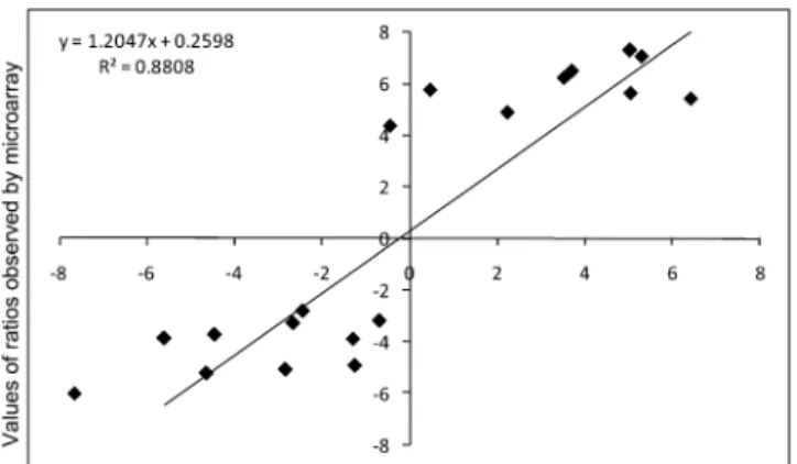 Figure 2. Gene-Expression Ratios Obtained by Real-Time RT–PCR, Monitored for 96 h After Transfer to HL.