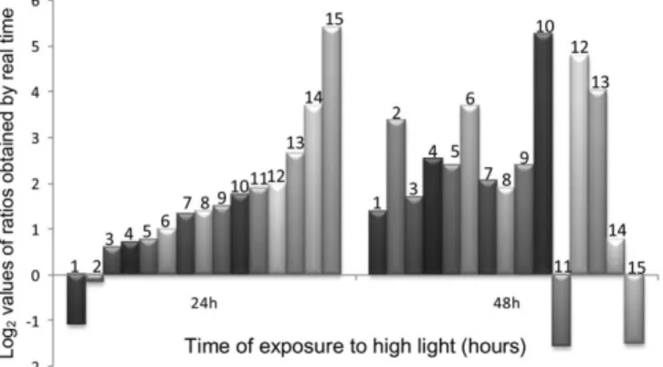 Figure 4. ‘Heat Shock Proteins’ Gene Expression Profiles in the LSCA Study.
