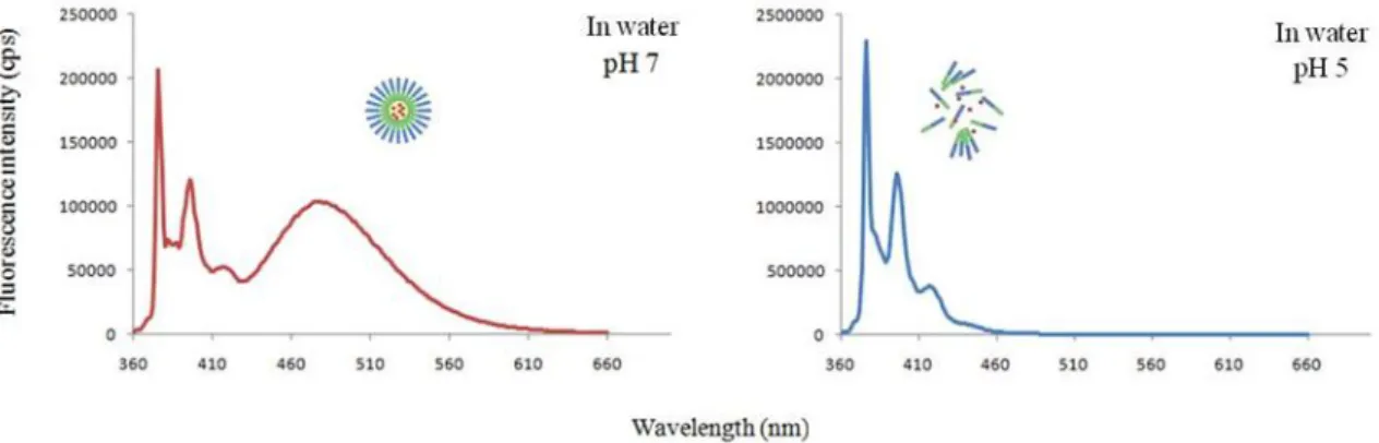 Figure  4  -  Spectroscopic  proof  of  polymeric  micelles  formation  and  disassembled  with  parallel  release  of  1- 1-methylpyrene  due  to  low  pH