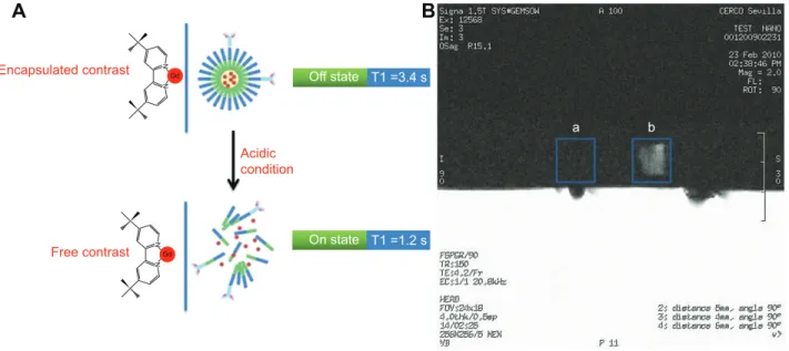 Figure  5  (A)  scheme  of  1 h  NMr  relaxometric  experiment  to  measure  T 1   of  water  before  and  after  the  release  of  the  contrast  agent  from  the  polymeric  micelles
