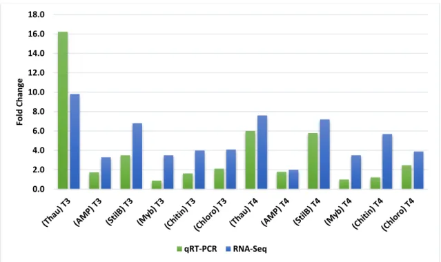 Figure 2. Fold Change for each of the transcripts selected for validation. The values are represented  as the Log2 of the normalized expression value of both RNA-sequencing (RNA-Seq) and quantitative  real-time polymerase chain reaction (qRT-PCR) data at t