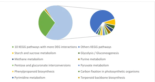 Figure 5. Representation of the KEGG pathways with more DEG interactions. Left pie chart displays  the total differential expressed gene (DEG) interactions over the 94 different KEGG pathways, while,  the secondary pie chart ranks the 10 pathways with more