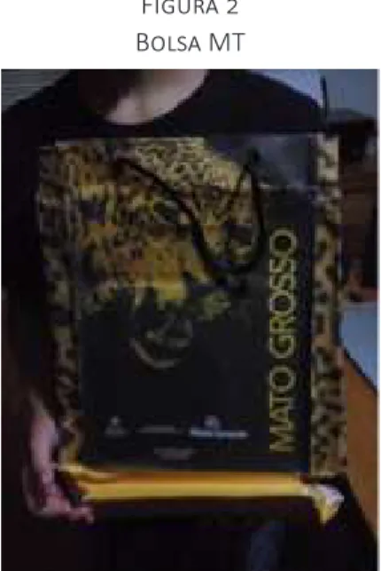 Figura 2 Bolsa MT