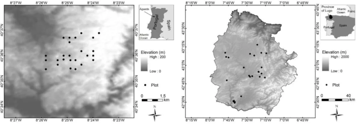 Figure 1. Study areas of: (left) eucalyptus stands; and (right) pine stands . 