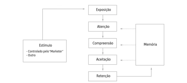 Fig. 1.9. Fases do processamento de informação