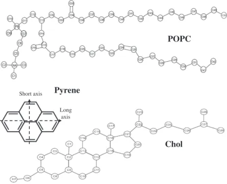 Fig. 2 shows ﬁ nal snapshots for simulations of 4 pyrene molecules in a disordered (0 mol% cholesterol, Fig