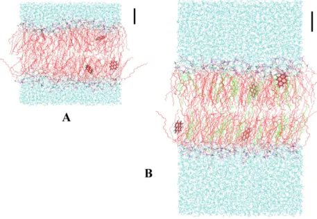 Fig. 2. Final snapshots of the 4-pyrene simulations for 0 (A) and 20 (B) mol% cholesterol systems