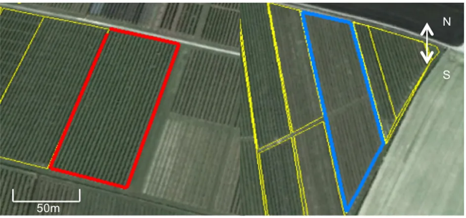 Figure 9 - 'Gala', ‘Pink Lady®’ and 'Red Delicious' trial (Red Color) and ‘Kanzi®’ trial (Blue Color) (Google Earth) 