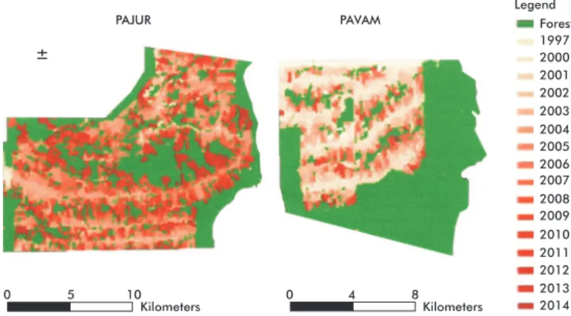 Figure 2 – Accumulated deforestation (1997-2014) and  remaining forest cover (2014) at PAJUR and PAVAM
