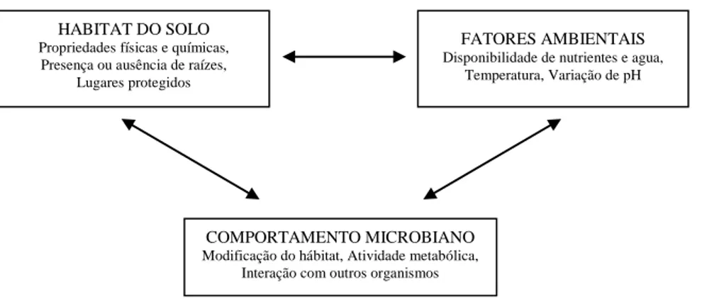 Figura 2.10 Modelo ilustrativo dos fatores que influenciam as bactérias do solo (Modificado  de Halverson, 2005) 