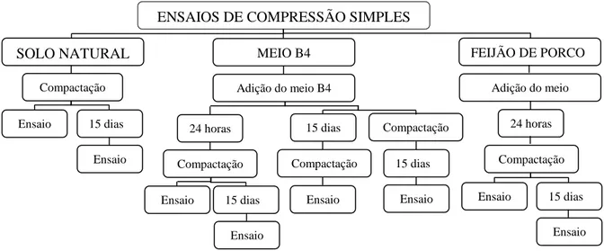 Figura 4.5 Fluxograma dos ensaios de compressão simples  