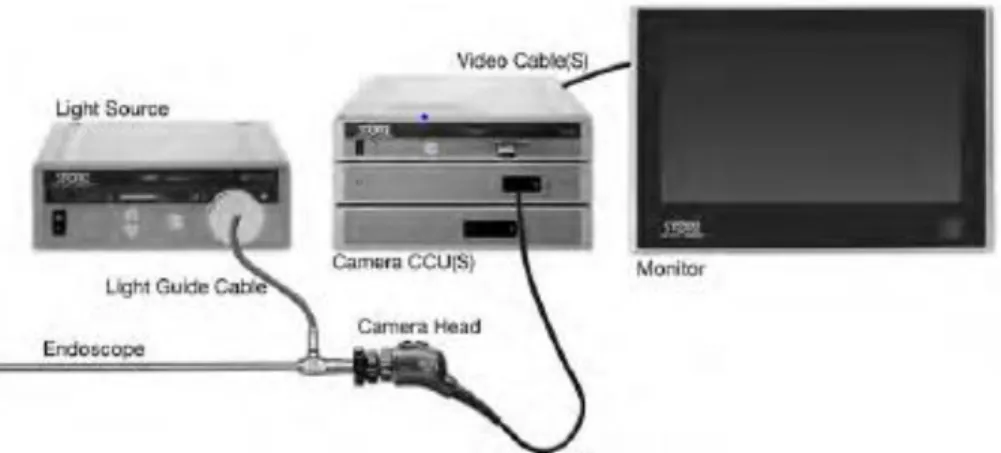 Figure 3 Basic endoscopic imaging chain, (2014 Photo Courtesy of Karl STORZ GmbH &amp; 