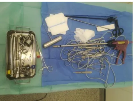 Figure 5 Surgical set up for LapOVE (Original) 