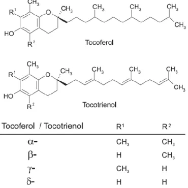 Figura 4: Estrutura química do tocoferol e do tocotrienol (Fonte: CERQUEIRA et al., 2007)