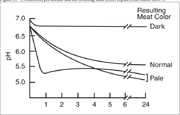 Figure 13 - Postmortem pH decline and the resulting meat color, copied from Miller (2007)