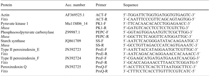 Table 1. RT-qPCR primers used for gene expression (sequences from plantain or from grape vine)