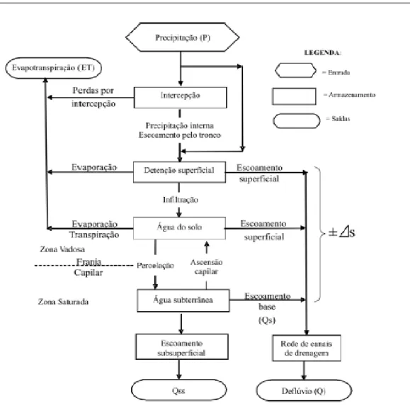Figura 1 - Representação esquemática dos processos hidrológicos qualitativos em uma bacia hidrográfica  florestada (modificado de Lima, 1996