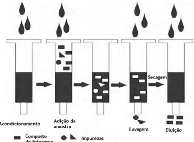 Figura 4 – Representação esquemática das etapas da extração por SPE, adaptado de Yi et al