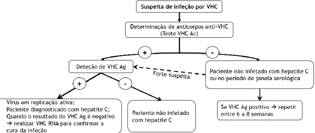 Figura 6. Fluxograma do algoritmo laboratorial alternativo e as suas conclusões (adaptado de Fourati S