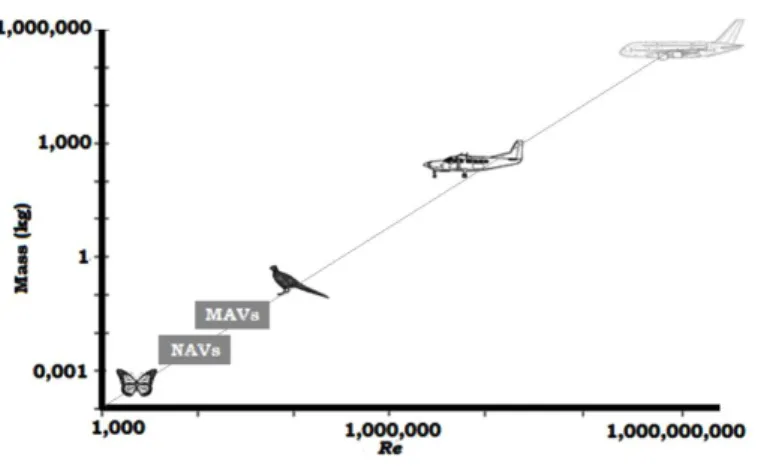 Figure 1. Classification of MAV’s and NAV’s over a relation of Mass and Reynolds Number