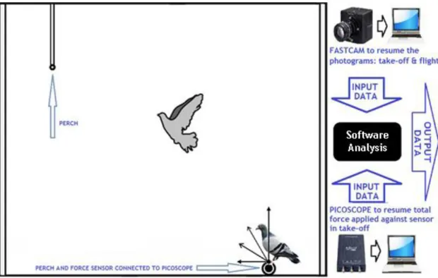 Figure 2. Experimental set-up. 