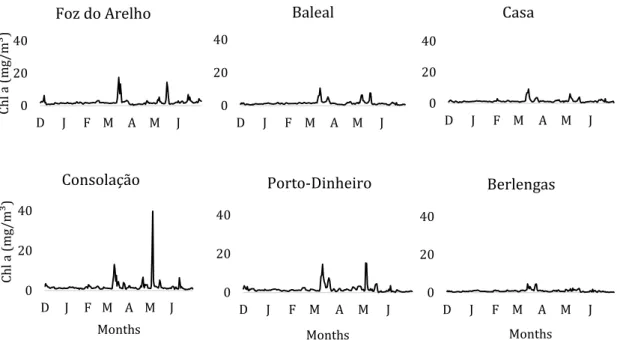 Figure 11 - Evolution of Chl-a concentration (mg/m³) during the sampling months in the  different sampling locations.