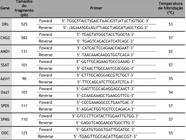 Tabela 2 – Sequência dos primers utilizados e condições de PCR. pb – pares de bases.  Gene  Tamanho  fragmento do  (pb)  Primer   Temperatura  de hibridação (ºC)  ORs  525  Foward  5’-TGGC5TA(CT)GA(CT)(AC)G5T(AT)(CT)GT5GC-3’ 