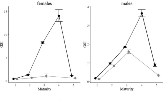 Fig. 4. Black scabbard ﬁ sh hepatosomatic index (HSI) (mean ± SE) of females (left) and males (right) caught o ﬀ Madeira and mainland Portugal by maturity stage.