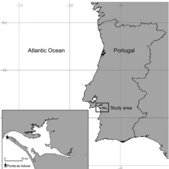 Fig. 1. – Map of Portugal showing the region studied. Troia penin- penin-sula with a star indicating the study site in Ponta do Adoxe, followed 