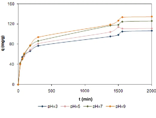 Figura 23 – Capacidade de adsorção em função do tempo com diferentes pHs para o GAC 
