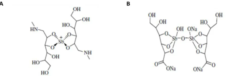 Figura 9. Fórmula estrutural  dos antimonias pentavalentes.  N-metil  glucamina (A) e Estibogluconato de  sódio  (B)