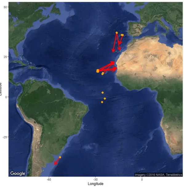 Figure 2. Map with the SMA satellite tag tracks (preliminary strait line tracks). Orange dots represent tagging  locations  and  the arrows  represent the  strait line  tracks  for the  pop-up locations