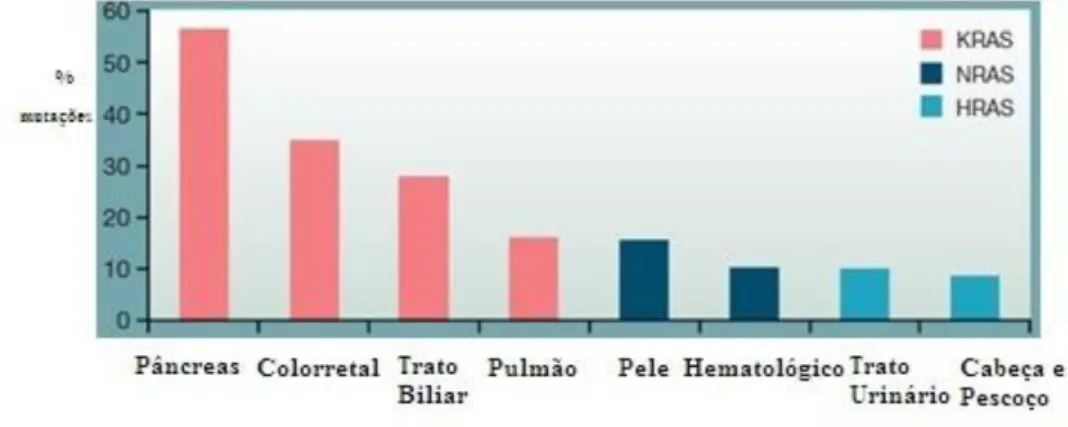 Figura 5: Gráfico com a porcentagem de mutações RAS associadas pra cada tipo de   câncer (VASAN; BOYER; HERBST, 2014)