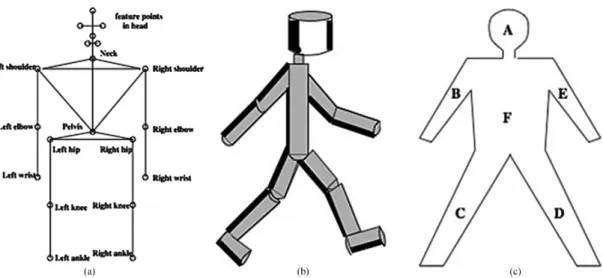 Figure 2.2: A priori models that represent the human body Vilas-Boas and Cunha (2016)