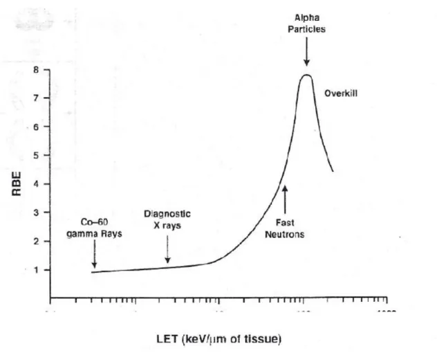 Figura 5: Relação entre os valores de RBE e LET. A RBE de uma determinada radiação, se todos os outros  factores  se  mantiverem  constantes,  aumenta  com  a  LET  da  radiação