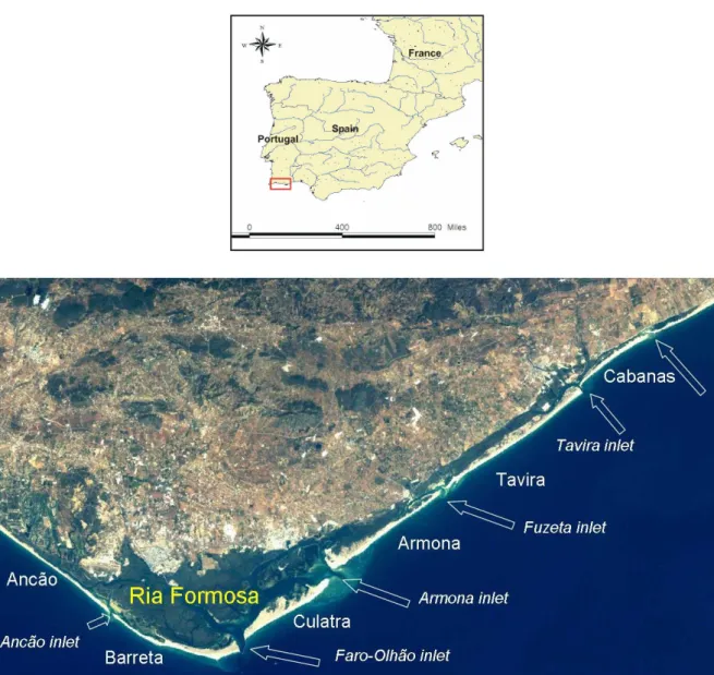 Figure  1.1.  Geographical  position  and  satellite  image  of  the  Ria  Formosa  lagoon  (map  base: 