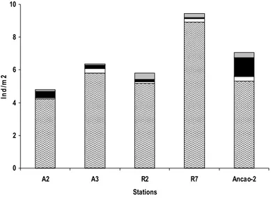 Figure 3.12. Taxonomical composition of meiobenthos by densities for high taxa level, ind/m 2 