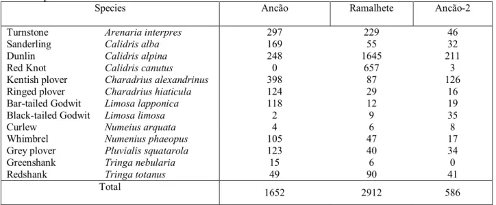 Table  3.9.  Main  shorebird  species  of  the  study  sites.  Abundances  recorded  during  all  period of observations