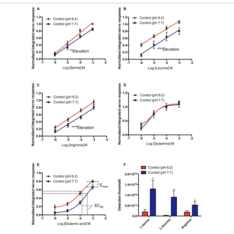 FIGURE 1  |  Normalized olfactory nerve responses of control fish (kept at pH 8.2) to (A) L-serine, (B) L-leucine, (C) L-arginine, (D) L-glutamine, and (E) L-glutamic  acid; under control (red: odorant pH 8.2) and elevated PCO 2  conditions (blue: odorant 