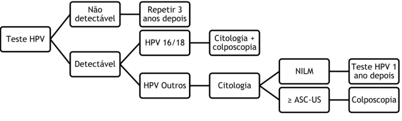 Figura 1 - Algoritmo do rastreio aplicado no CHCB 